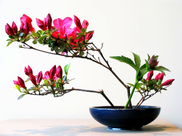 Ikebana