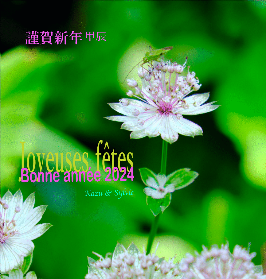 Bonne année 2023